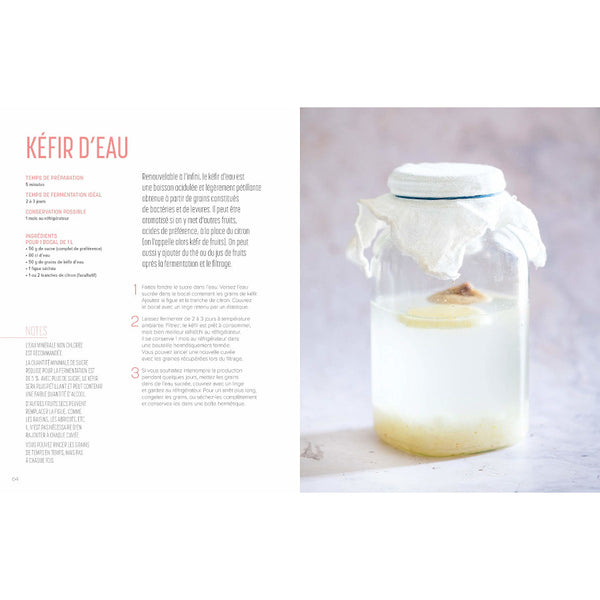 Recette de kéfir d'eau