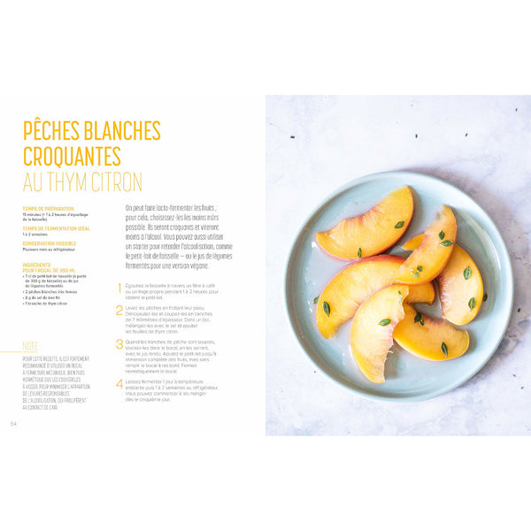 «Les secrets de la lacto-fermentation: principes, bienfaits et recettes» par Luna Kyung