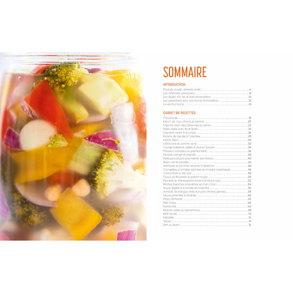 «Les secrets de la lacto-fermentation: principes, bienfaits et recettes» par Luna Kyung