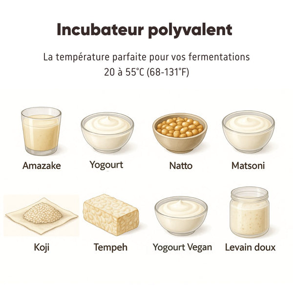 Incubateur fermentations