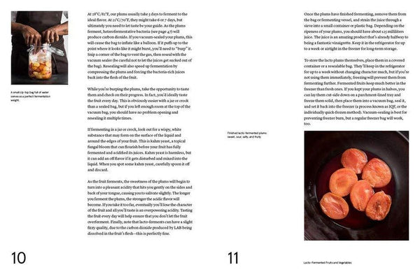 Recette du livre The Noma Guide to Fermentation