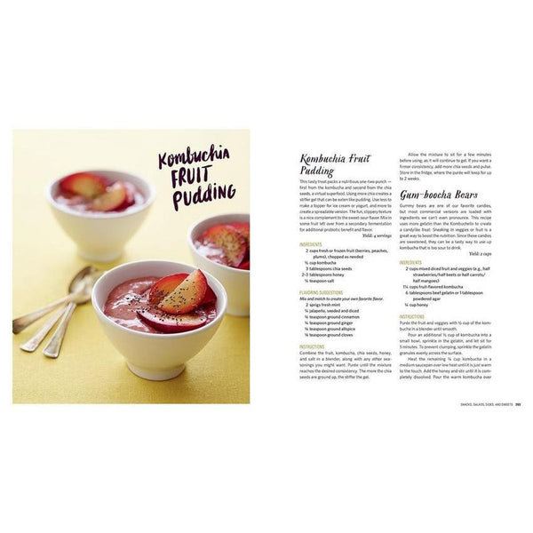 The Big Book of Kombucha recipe