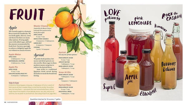 The Big Book of Kombucha flavouring