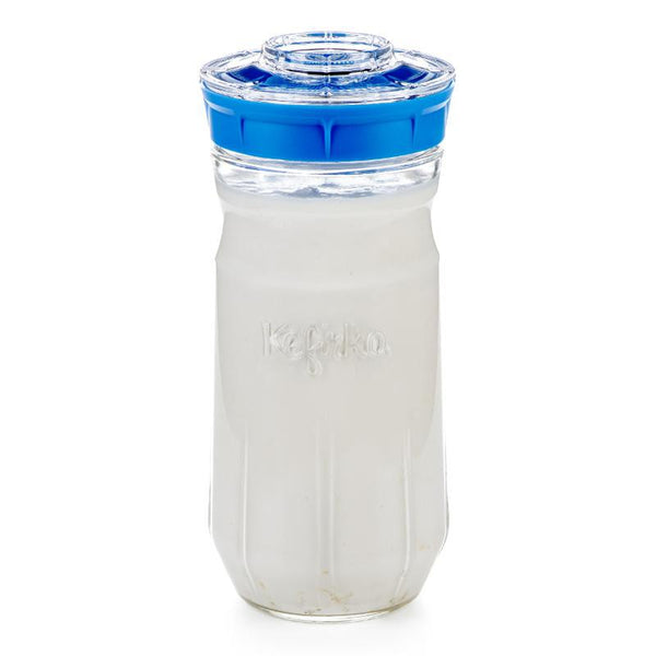 Kit de kefir Kéfirko bleu