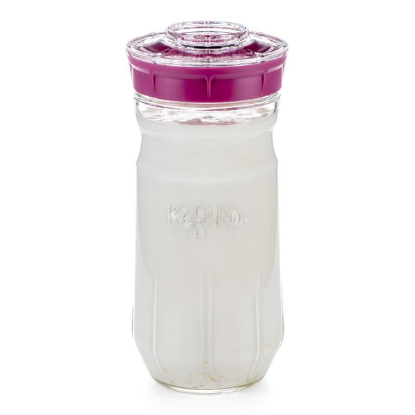 Kit de fabrication de kéfir Kefirko