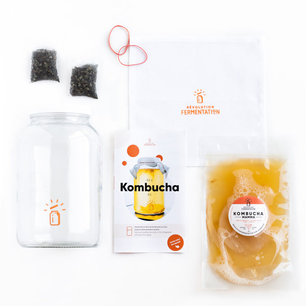 Acheter kit complet pour faire kombucha Canada