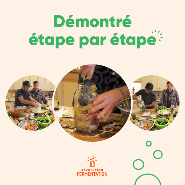 Formation en ligne lacto-fermentation