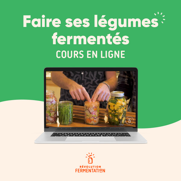 Cours en ligne faire légumes fermentés