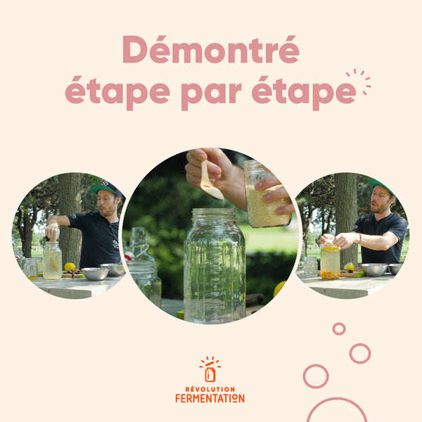 Formation en ligne montrant les étapes pour faire du kéfir de fruits