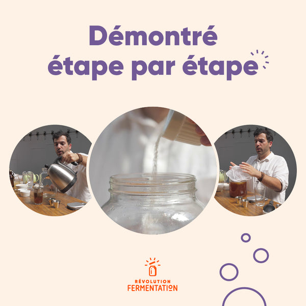 Formation en ligne Comment faire son kombucha