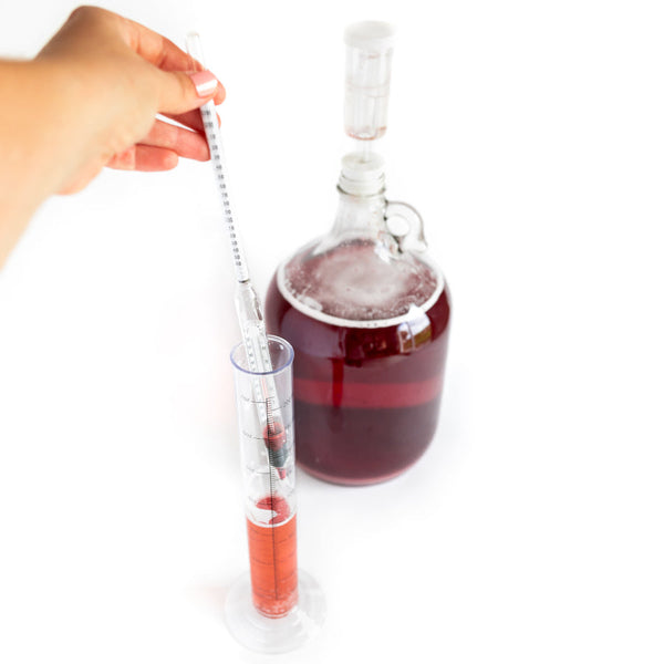 Hydromètre à bière et vin