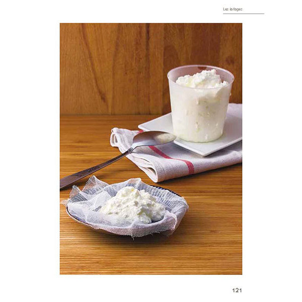 Photo fromage frais du livre Aliments fermenté aliments santé Marie-Claire Frédéric