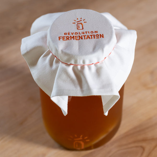 Filtre en coton avec un élastique sur jarre de kombucha