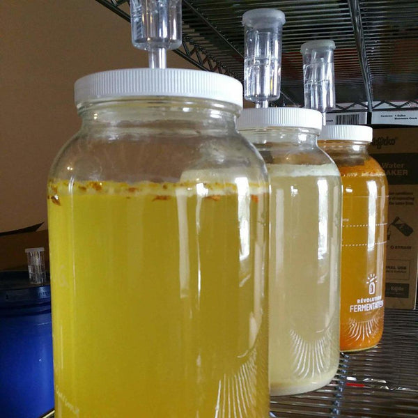 Bières de gingembre avec barboteur