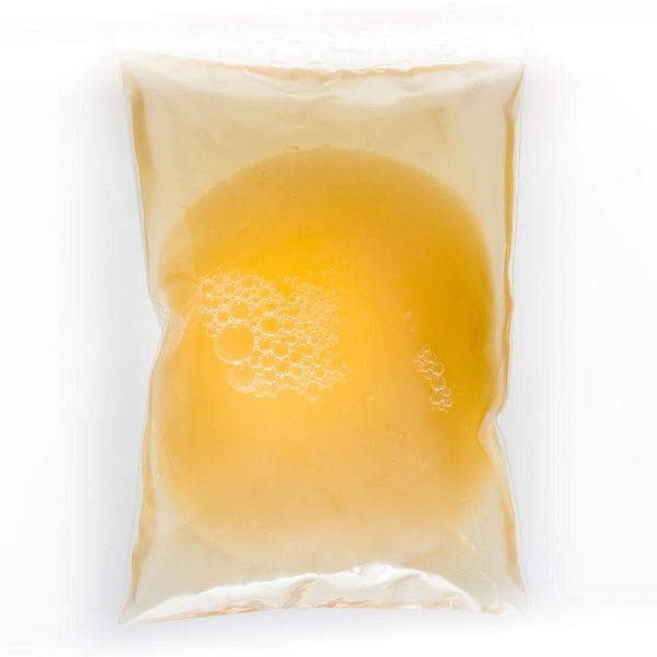 Mamma kombucha dans son sachet