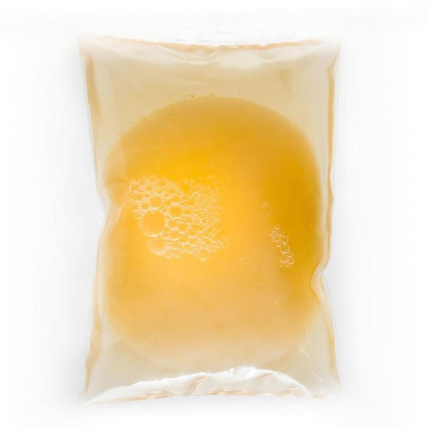 Mère de jun (kombucha au miel)