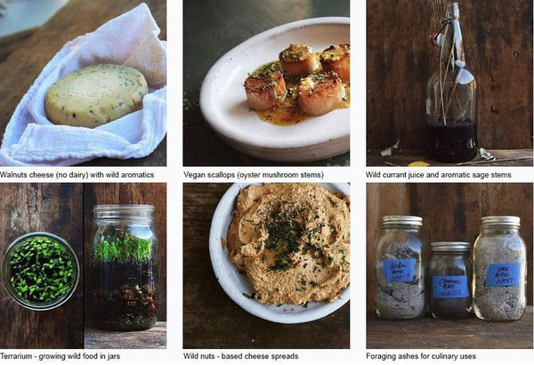 «Wildcrafted Fermentation» par Pascal Baudar