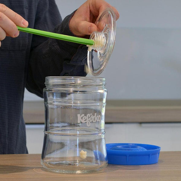 Récupération des grains de kéfir