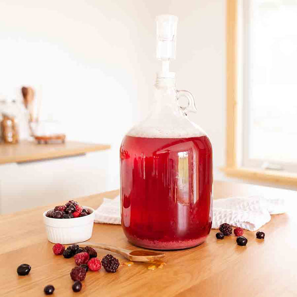 Tourie en verre - fermenteur à bière et vin