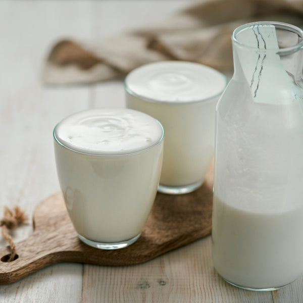 Culture de yogourt sans lait