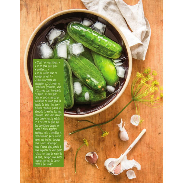 Recette Cornichons - Extrait Livre Révolution Fermentation