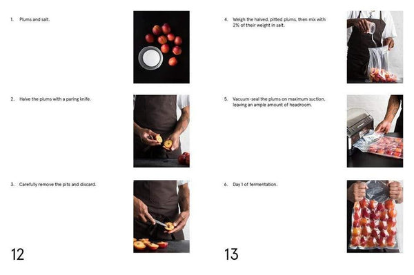 Recette du livre The Noma Guide to Fermentation