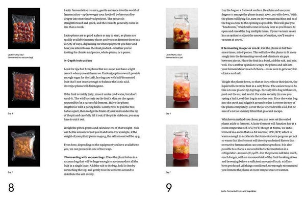 Recette du livre The Noma Guide to Fermentation 2