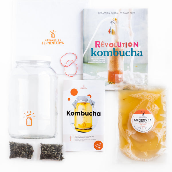 Acheter kit pour kombucha avec mère et livre